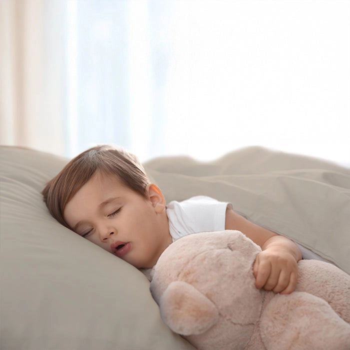 LYMA Hosuewife Pillowcase Pack of 4