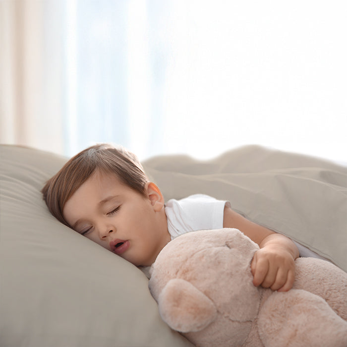 Pillowcase in Beige Housewife