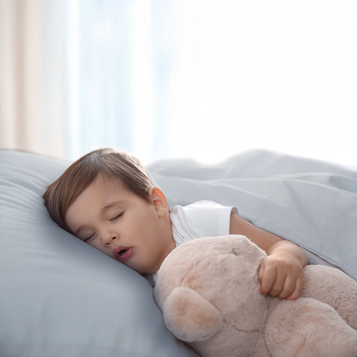 Pillowcase in Light Grey Housewife